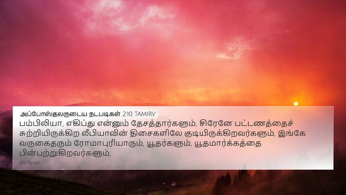 அப்போஸ்தலருடைய நடபடிகள் 2:10 TAMIRV Bible Verse Image
