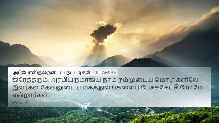 அப்போஸ்தலருடைய நடபடிகள் 2:11 TAMIRV Bible Verse Image