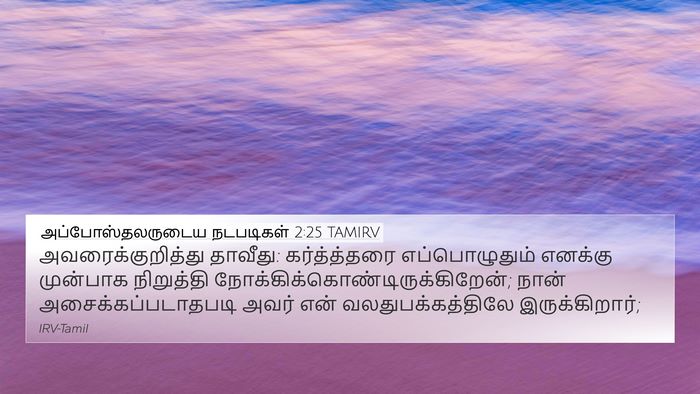 அப்போஸ்தலருடைய நடபடிகள் 2:25 TAMIRV Bible Verse Image