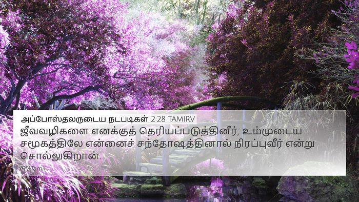அப்போஸ்தலருடைய நடபடிகள் 2:28 TAMIRV Bible Verse Image