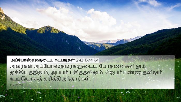 அப்போஸ்தலருடைய நடபடிகள் 2:42 TAMIRV Bible Verse Image