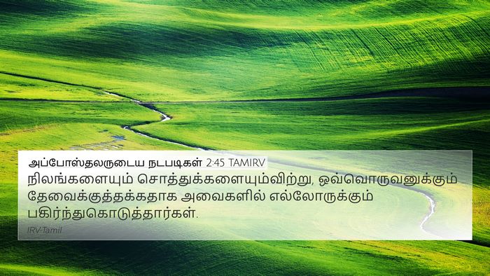 அப்போஸ்தலருடைய நடபடிகள் 2:45 TAMIRV Bible Verse Image