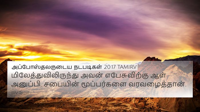 அப்போஸ்தலருடைய நடபடிகள் 20:17 TAMIRV Bible Verse Image