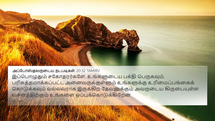 அப்போஸ்தலருடைய நடபடிகள் 20:32 TAMIRV Bible Verse Image