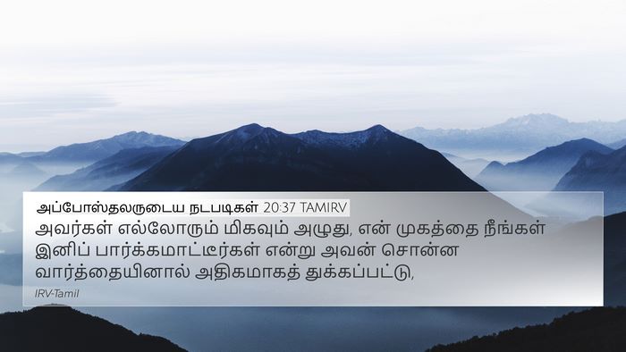 அப்போஸ்தலருடைய நடபடிகள் 20:37 TAMIRV Bible Verse Image