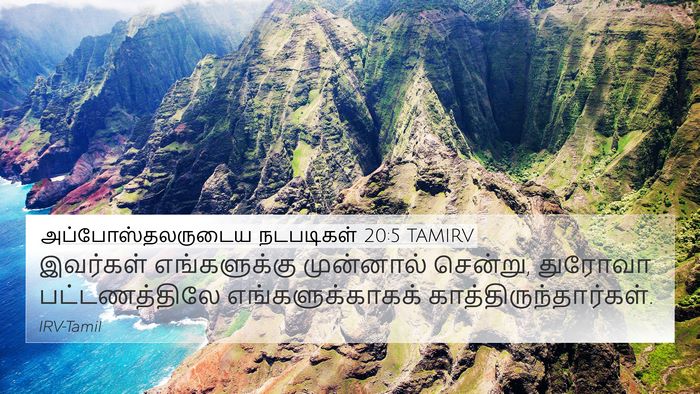 அப்போஸ்தலருடைய நடபடிகள் 20:5 TAMIRV Bible Verse Image