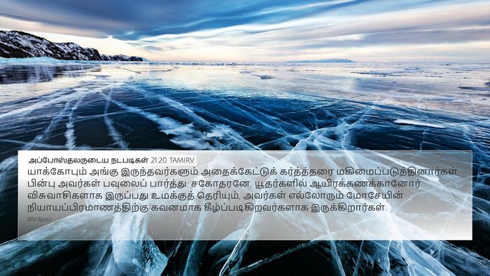 அப்போஸ்தலருடைய நடபடிகள் 21:20 TAMIRV Bible Verse Image