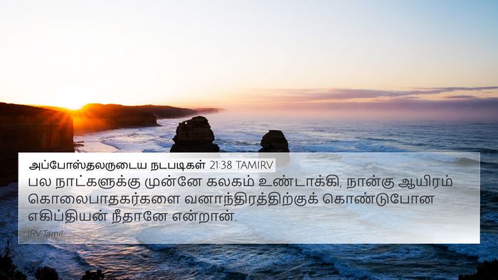 அப்போஸ்தலருடைய நடபடிகள் 21:38 TAMIRV Bible Verse Image