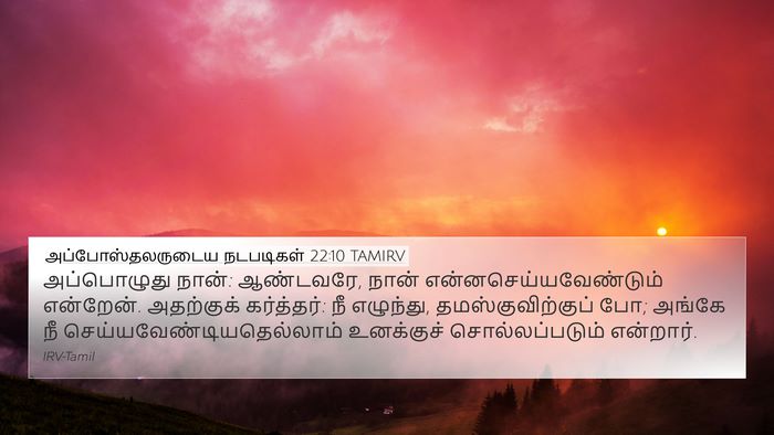 அப்போஸ்தலருடைய நடபடிகள் 22:10 TAMIRV Bible Verse Image