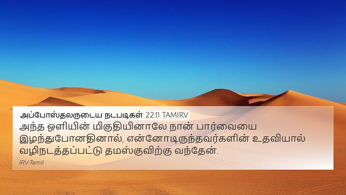 அப்போஸ்தலருடைய நடபடிகள் 22:11 TAMIRV Bible Verse Image