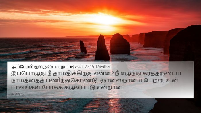 அப்போஸ்தலருடைய நடபடிகள் 22:16 TAMIRV Bible Verse Image