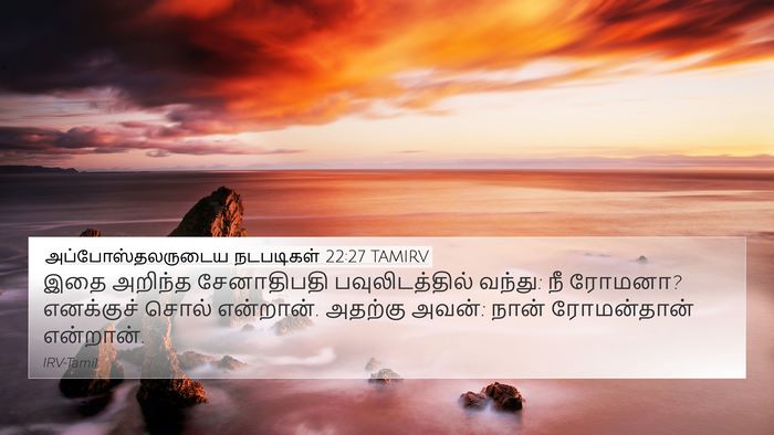 அப்போஸ்தலருடைய நடபடிகள் 22:27 TAMIRV 4K Wallpaper - இதை அறிந்த - 4K Wallpaper Bible Verse