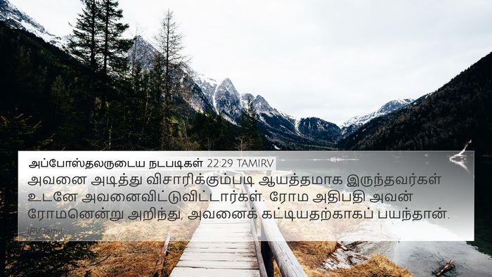அப்போஸ்தலருடைய நடபடிகள் 22:29 TAMIRV Bible Verse Image