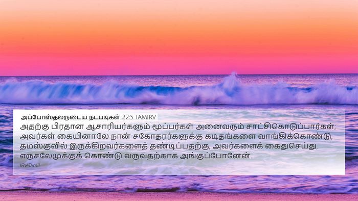 அப்போஸ்தலருடைய நடபடிகள் 22:5 TAMIRV Bible Verse Image