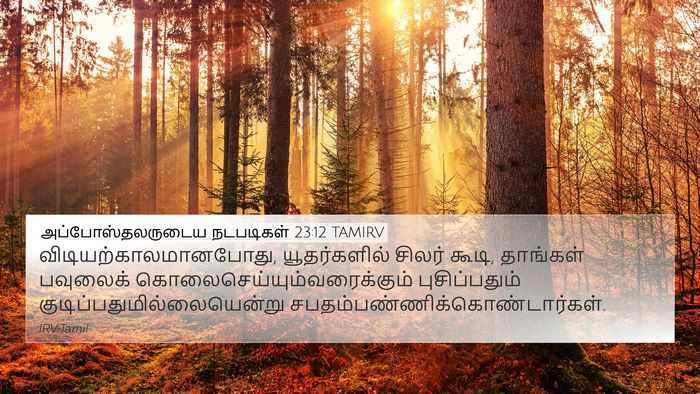 அப்போஸ்தலருடைய நடபடிகள் 23:12 TAMIRV Bible Verse Image