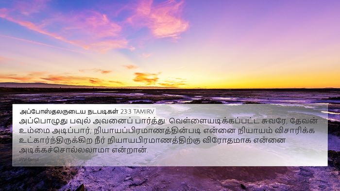 அப்போஸ்தலருடைய நடபடிகள் 23:3 TAMIRV Bible Verse Image