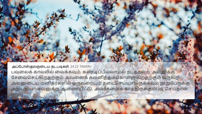 அப்போஸ்தலருடைய நடபடிகள் 24:23 TAMIRV Bible Verse Image