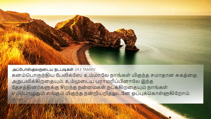 அப்போஸ்தலருடைய நடபடிகள் 24:3 TAMIRV Bible Verse Image