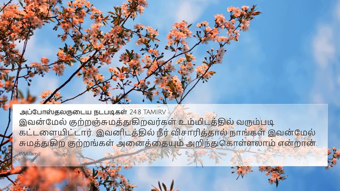 அப்போஸ்தலருடைய நடபடிகள் 24:8 TAMIRV 4K Wallpaper - இவன்மேல் - 4K Wallpaper Bible Verse