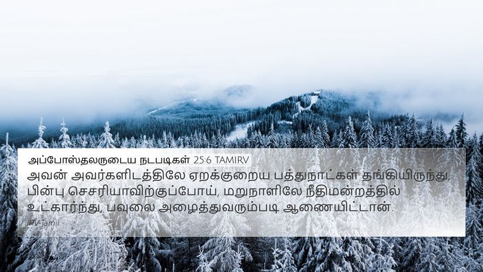 அப்போஸ்தலருடைய நடபடிகள் 25:6 TAMIRV Bible Verse Image