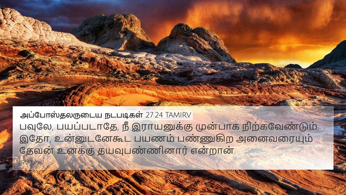 அப்போஸ்தலருடைய நடபடிகள் 27:24 TAMIRV Bible Verse Image
