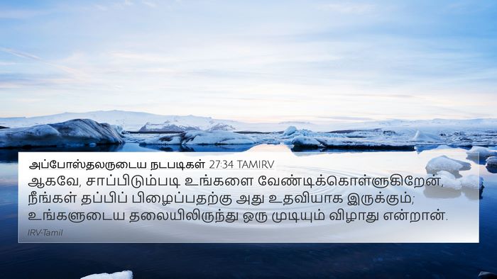 அப்போஸ்தலருடைய நடபடிகள் 27:34 TAMIRV Bible Verse Image
