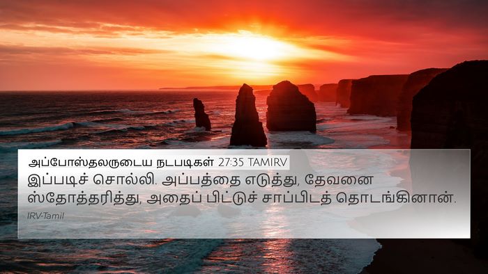 அப்போஸ்தலருடைய நடபடிகள் 27:35 TAMIRV Bible Verse Image