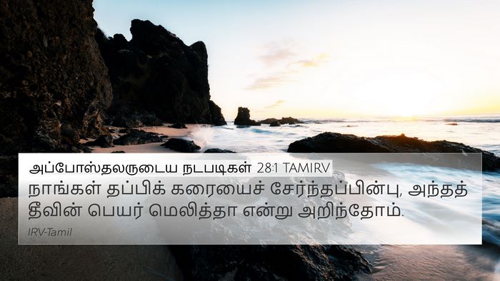 அப்போஸ்தலருடைய நடபடிகள் 28:1 TAMIRV Bible Verse Image