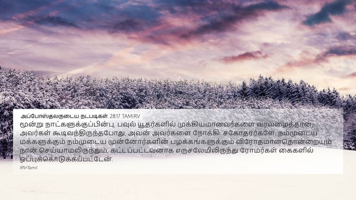 அப்போஸ்தலருடைய நடபடிகள் 28:17 TAMIRV Bible Verse Image