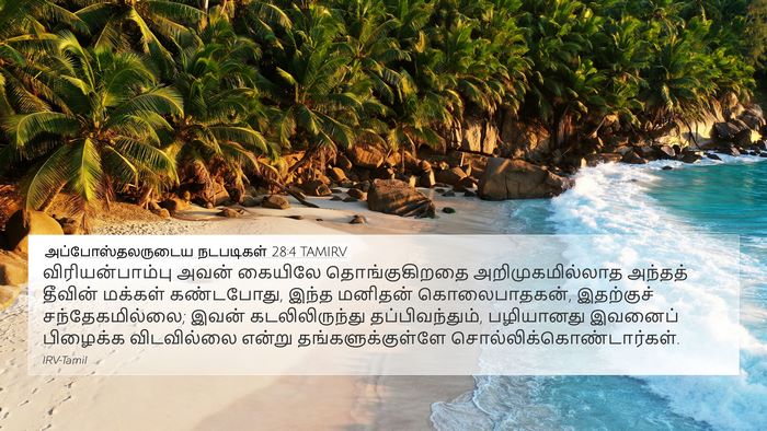 அப்போஸ்தலருடைய நடபடிகள் 28:4 TAMIRV Bible Verse Image