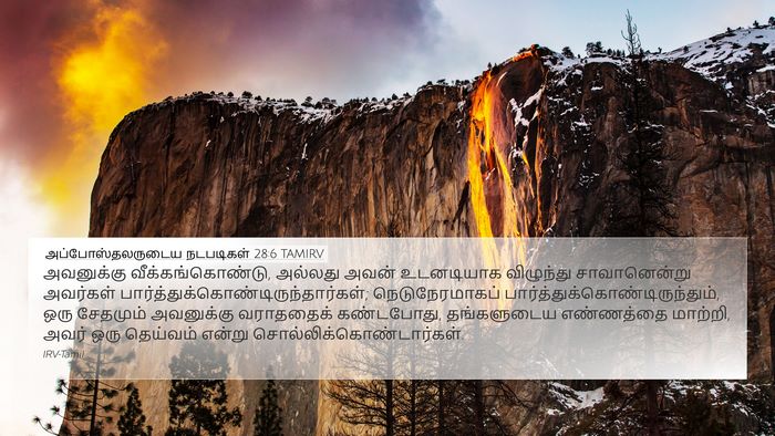 அப்போஸ்தலருடைய நடபடிகள் 28:6 TAMIRV Bible Verse Image