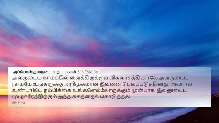 அப்போஸ்தலருடைய நடபடிகள் 3:16 TAMIRV Bible Verse Image