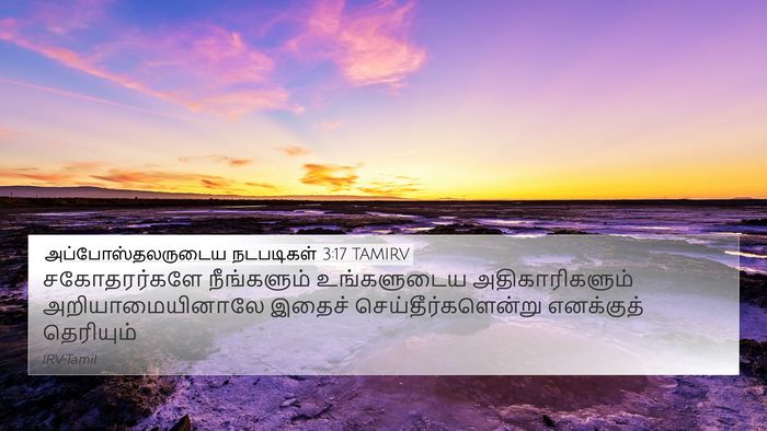 அப்போஸ்தலருடைய நடபடிகள் 3:17 TAMIRV Bible Verse Image