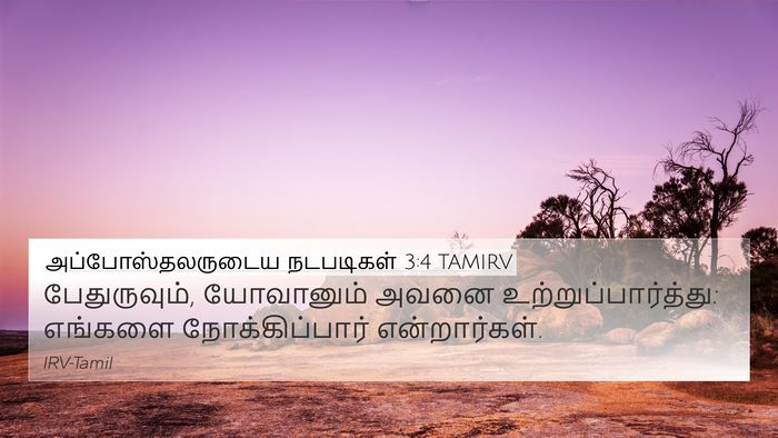 அப்போஸ்தலருடைய நடபடிகள் 3:4 TAMIRV 4K Wallpaper - பேதுருவும், - 4K Wallpaper Bible Verse