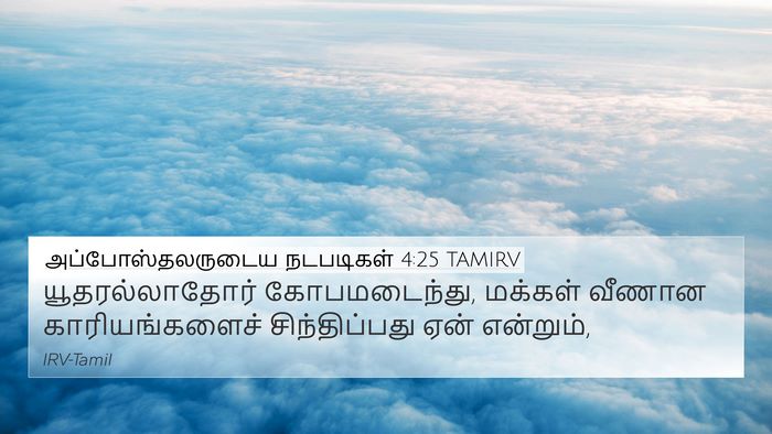 அப்போஸ்தலருடைய நடபடிகள் 4:25 TAMIRV Bible Verse Image