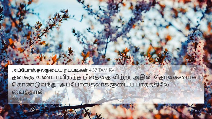 அப்போஸ்தலருடைய நடபடிகள் 4:37 TAMIRV Bible Verse Image