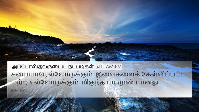 அப்போஸ்தலருடைய நடபடிகள் 5:11 TAMIRV Bible Verse Image