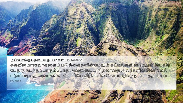 அப்போஸ்தலருடைய நடபடிகள் 5:15 TAMIRV Bible Verse Image