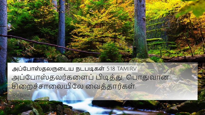 அப்போஸ்தலருடைய நடபடிகள் 5:18 TAMIRV Bible Verse Image