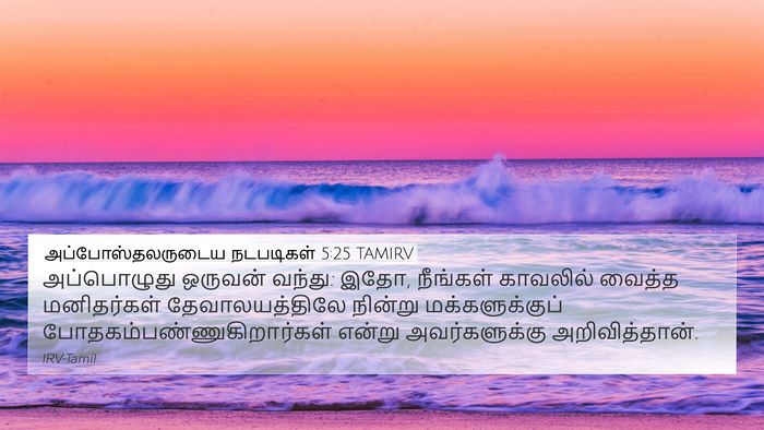 அப்போஸ்தலருடைய நடபடிகள் 5:25 TAMIRV Bible Verse Image