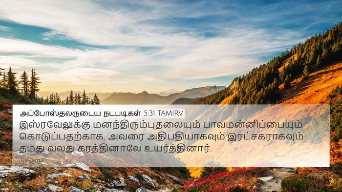 அப்போஸ்தலருடைய நடபடிகள் 5:31 TAMIRV Bible Verse Image