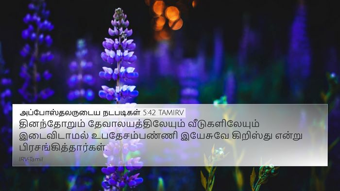 அப்போஸ்தலருடைய நடபடிகள் 5:42 TAMIRV Bible Verse Image