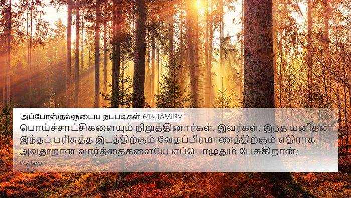 அப்போஸ்தலருடைய நடபடிகள் 6:13 TAMIRV Bible Verse Image