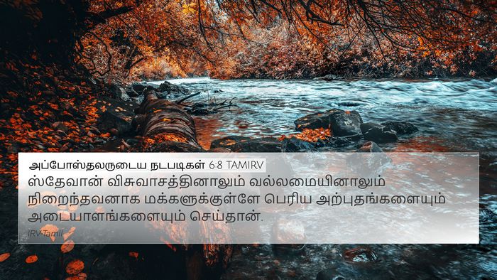 அப்போஸ்தலருடைய நடபடிகள் 6:8 TAMIRV Bible Verse Image