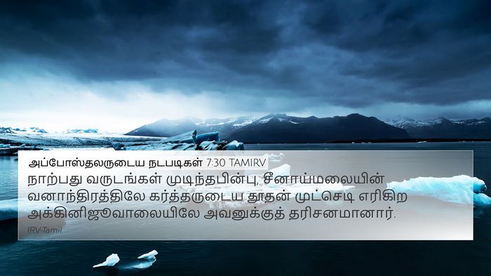 அப்போஸ்தலருடைய நடபடிகள் 7:30 TAMIRV Bible Verse Image