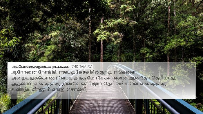 அப்போஸ்தலருடைய நடபடிகள் 7:40 TAMIRV Bible Verse Image