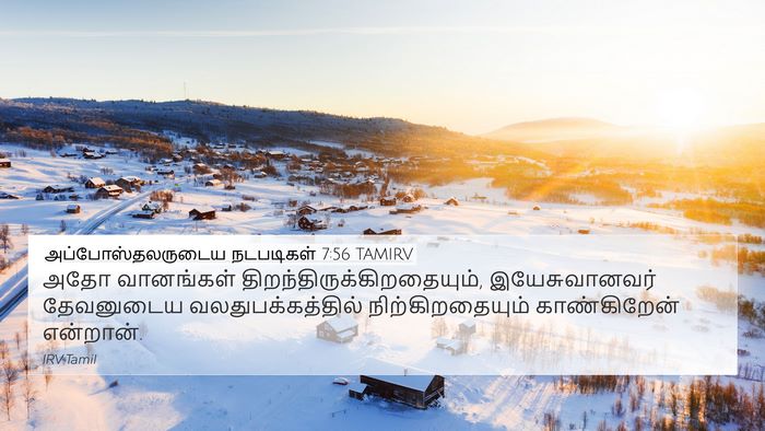 அப்போஸ்தலருடைய நடபடிகள் 7:56 TAMIRV Bible Verse Image