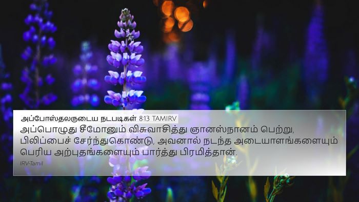 அப்போஸ்தலருடைய நடபடிகள் 8:13 TAMIRV Bible Verse Image