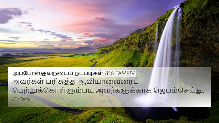 அப்போஸ்தலருடைய நடபடிகள் 8:16 TAMIRV Bible Verse Image