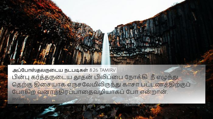 அப்போஸ்தலருடைய நடபடிகள் 8:26 TAMIRV Bible Verse Image